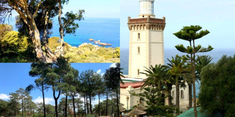 مناطق خضراء