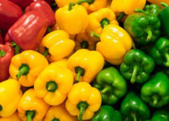 الفلفل الحلو