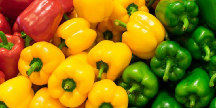 الفلفل الحلو