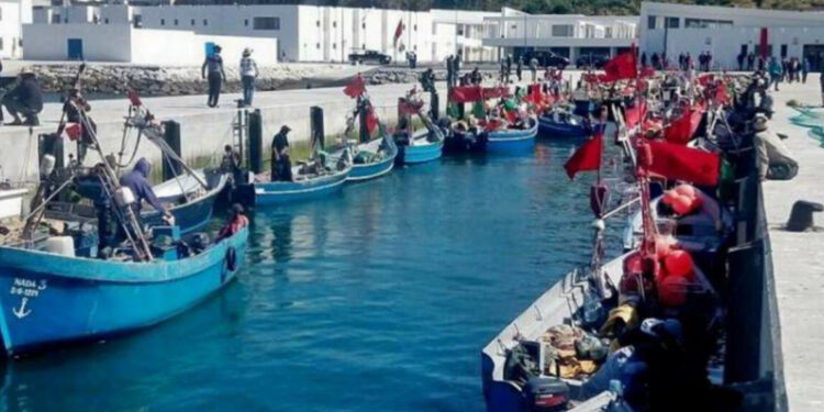 الصيد البحري بميناء طنجة