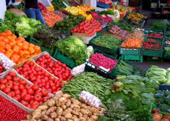 المنتجات والمواد الغذائية