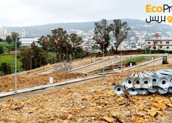 تجزئة التفاح