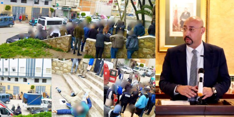 الليموري طنجة