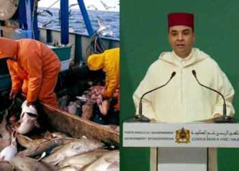 الصيد البحري