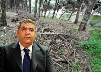 وزير الداخلية