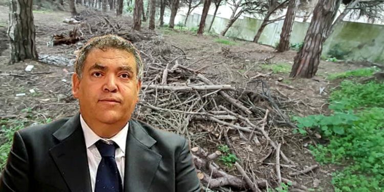 وزير الداخلية