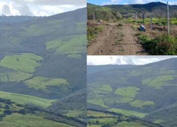 مناطق خضراء