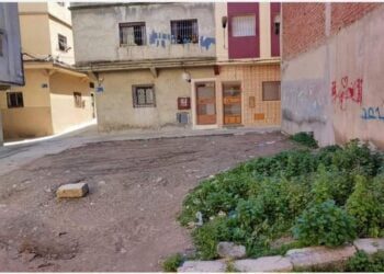 حي ظهر القنفوذ