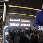 سوق السمك المركزي