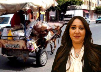 مظاهر الترييف والبداوة