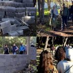 التعمير في غابة الرميلات