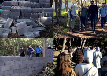 التعمير في غابة الرميلات