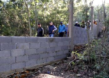 حركة الشباب الأخضر