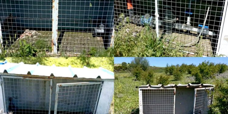 سرقة المعدات الفلاحية