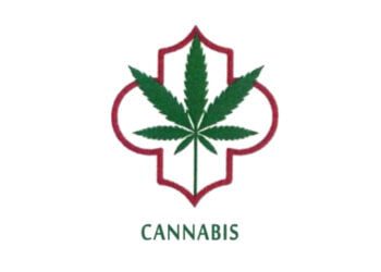 لوغو عشبة الحشيش