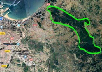 خارطة مزبلة في الغابة