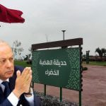 تدشين الهضبة الخضراء