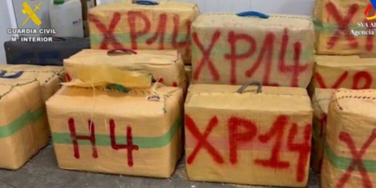 صناديق الحشيش