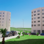 شقق النخيل للبيع