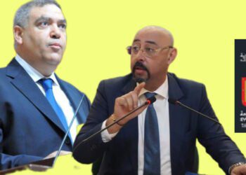 الليموري ووزير الداخلية