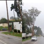 قصر العشماوي و لاريني