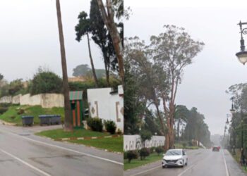 قصر العشماوي و لاريني