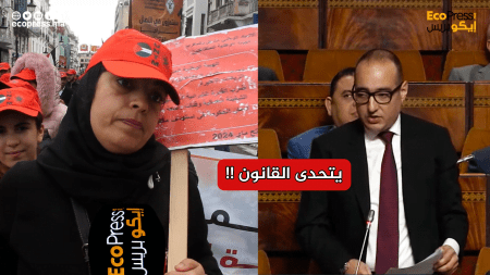 بالفيديو : معمل نوفاكو تسبب في تشريد عشرات العاملات
