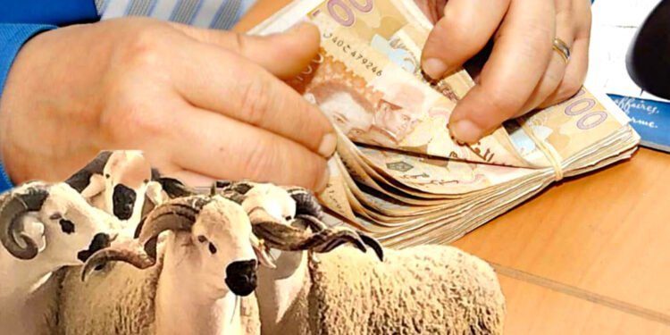 عيد الاضحى المغرب