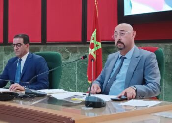 منير الليموري