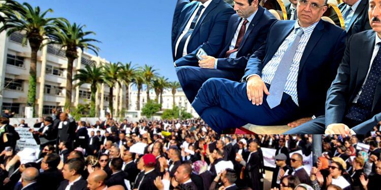 وهبي و المحامون