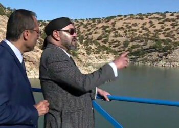 الملك محمد السادس