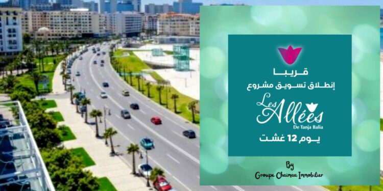 مجموعة شيماء للعقار