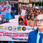 جديد الدخول المدرسي