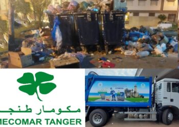 شركة مكومار طنجة