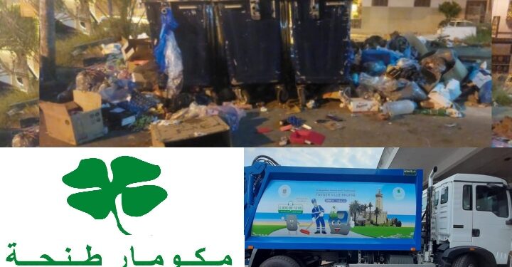 شركة مكومار طنجة