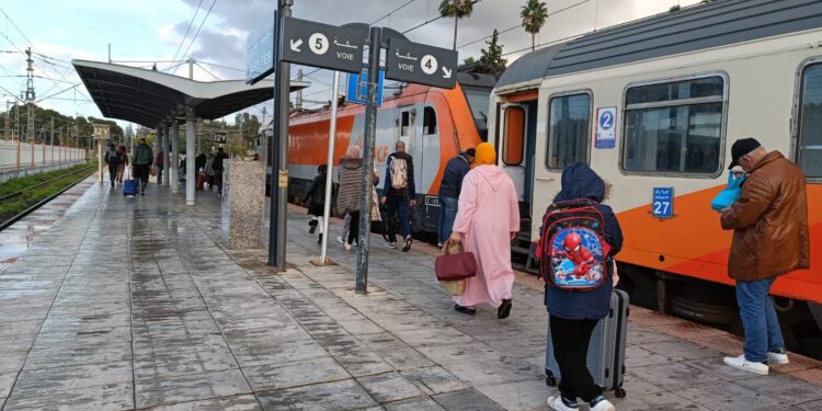 المخدرات محطة القطار طنجة