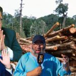 قتل الأشجار في منتزه الرهراه