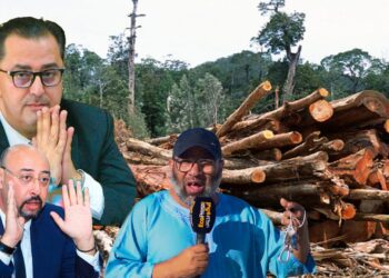 قتل الأشجار في منتزه الرهراه