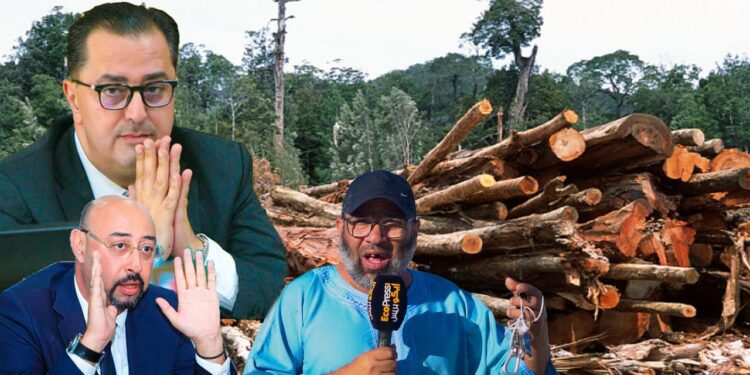 قتل الأشجار في منتزه الرهراه