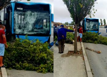 حافلة ألزا ترتكب حادث سير جديدة في شوارع طنجة