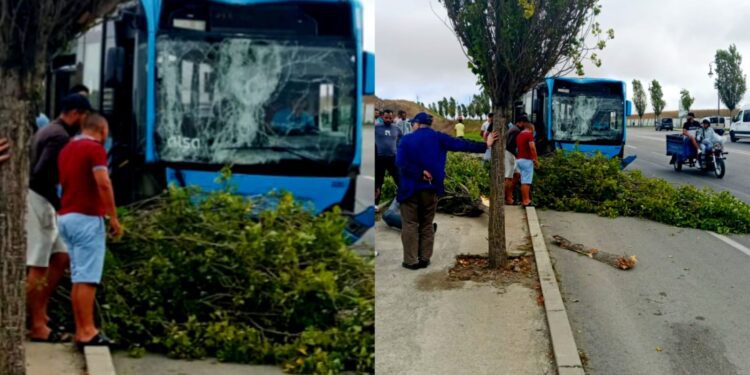 حافلة ألزا ترتكب حادث سير جديدة في شوارع طنجة