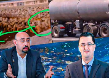 الليموري وشاطئ مرقالة