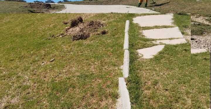 زراعة الأمل في منتزه الرهراه بمدينة طنجة