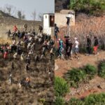 هجرة جماعية