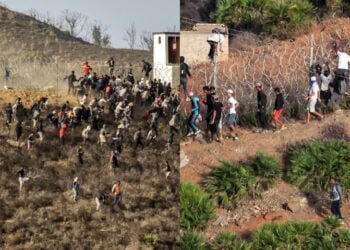 هجرة جماعية