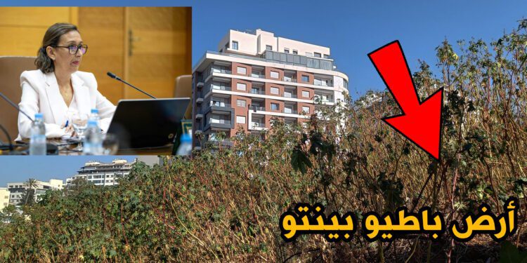 الوكالة الحضرية طنجة