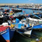 أزمة جديدة للصيد البحري في طنجة.. تراجع صيد السمك