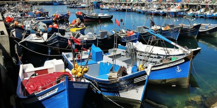 أزمة جديدة للصيد البحري في طنجة.. تراجع صيد السمك