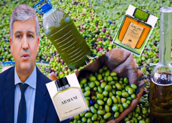 أسعار زيت الزيتون في المغرب زيت العود والعنبر والعطور