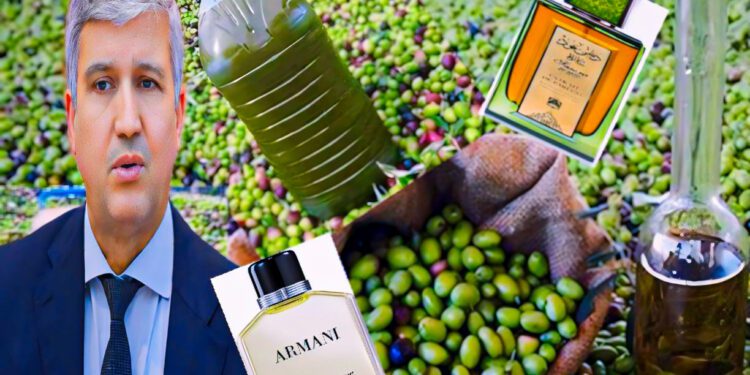 أسعار زيت الزيتون في المغرب زيت العود والعنبر والعطور